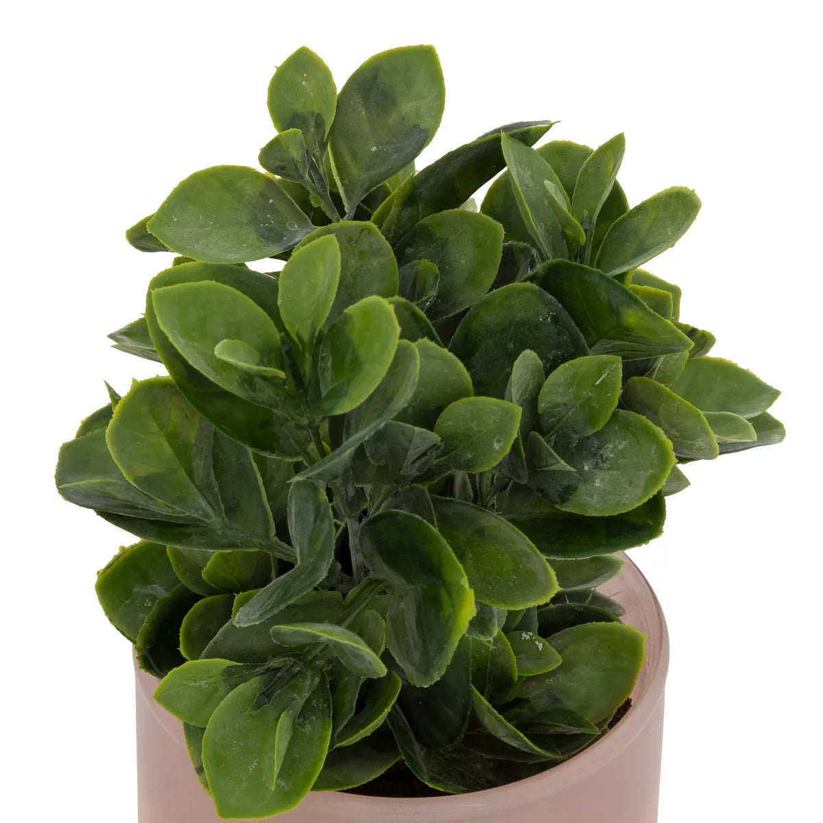Plantă artificială Atmosphera Tayli Succulent, 18 cm, diverse specii