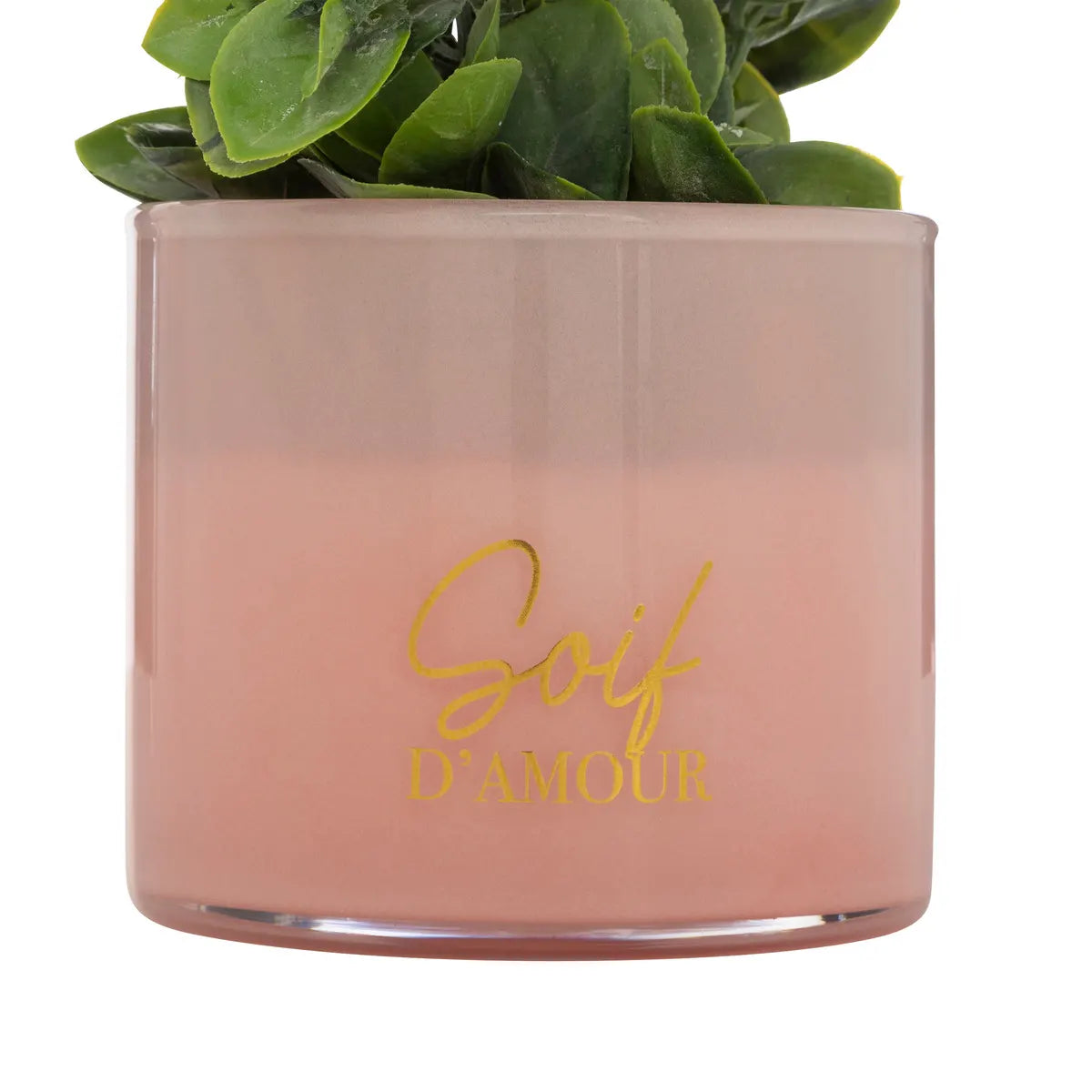 Plantă artificială Atmosphera Tayli Succulent, 18 cm, diverse specii