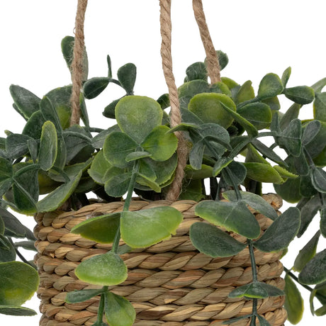 Plantă artificială Atmosphera Patri suspendată, 50 cm, diverse specii