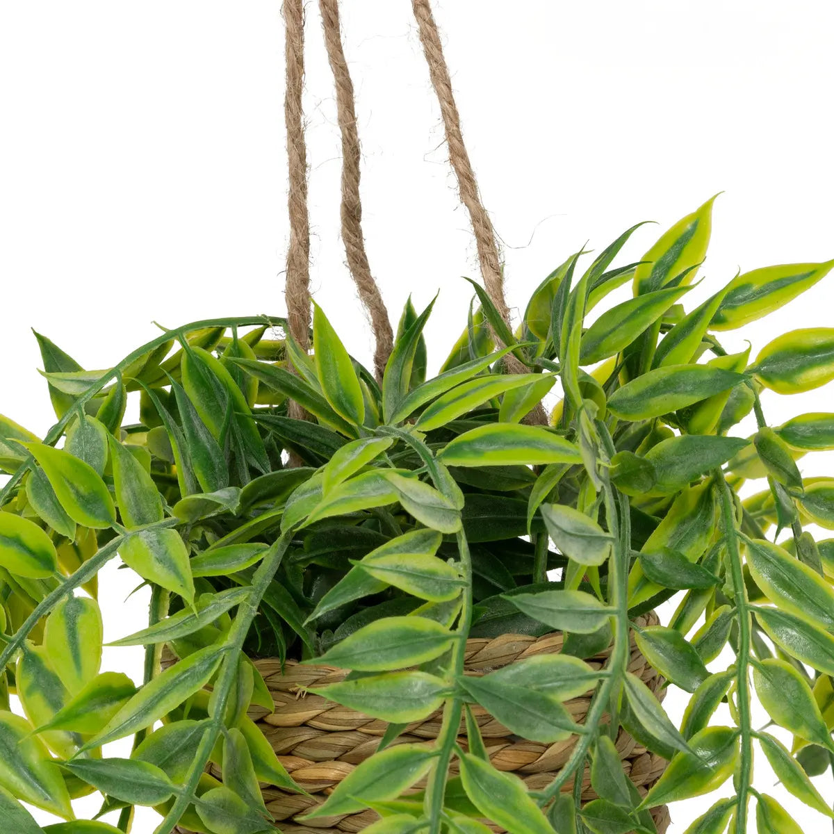 Plantă artificială Atmosphera Patri suspendată, 50 cm, diverse specii