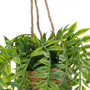 Plantă artificială Atmosphera Patri suspendată, 50 cm, diverse specii