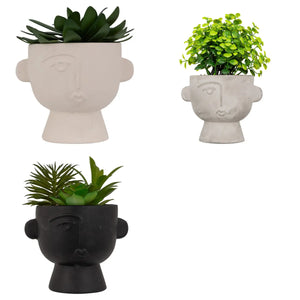 Plantă artificială Atmosphera Dusty Succulent, 22 cm, diverse specii