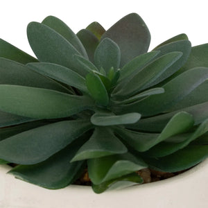 Plantă artificială Atmosphera Dusty Succulent, 22 cm, diverse specii