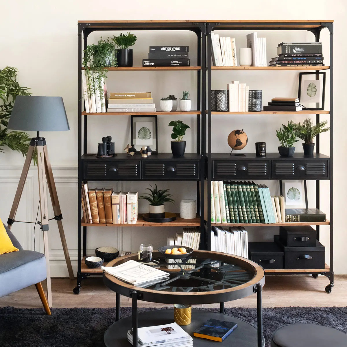 Atmosfera Bibliotecii Cierna