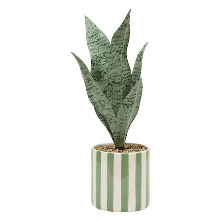 Atmosfera de plante artificiale Sansevieria Chéri, 38 cm