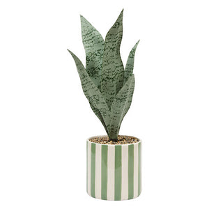 Atmosfera de plante artificiale Sansevieria Chéri, 38 cm