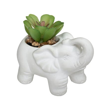 Plantă artificială Atmosphere Buddha, 10 cm, diverse specii