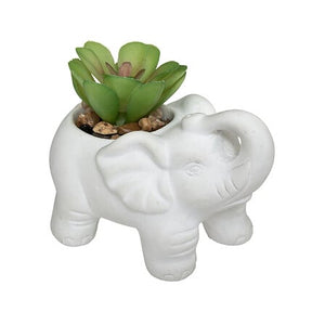 Plantă artificială Atmosphere Buddha, 10 cm, diverse specii