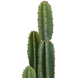 Plantă artificială Atmosphera Sien Cactus, 132 cm