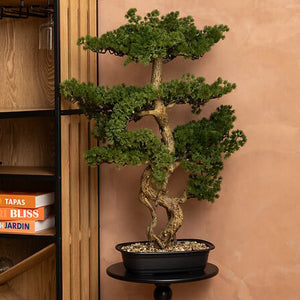 Bonsai artificial cu atmosferă de plantă Polin, 86 cm