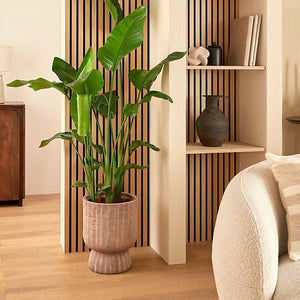 Ghiveci Atmosphera Romia, Ceramică, Maro, Ø30x38 cm