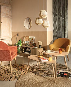 Fotoliu atmosferă Sinel, Chenil, Heveia