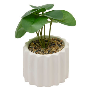 Plantă artificială Atmosphera Flow, 16 cm, diverse specii