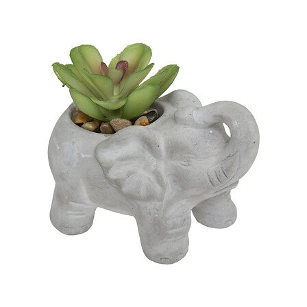 Plantă artificială Atmosphere Buddha, 10 cm, diverse specii