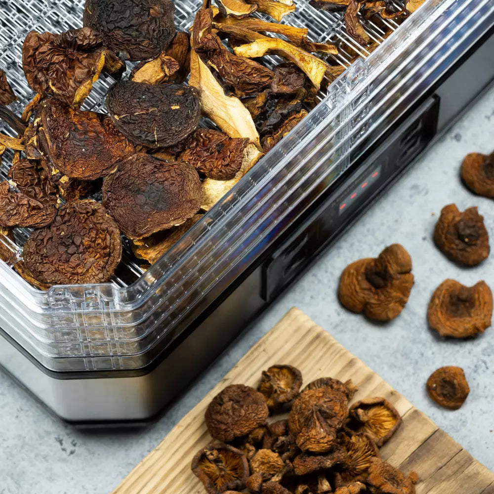 Uscător de fructe Klausberg 7569, 350 W, LED, 220-240 V, Argintiu/Negru