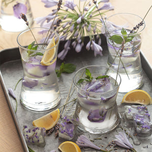 Set pahare cocktail LAV Derin, 350 ml, 6 buc.